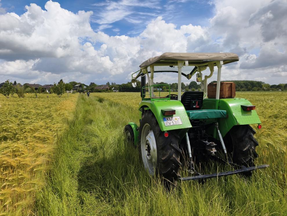 Rückansicht eines geparkten grünen Traktors auf einem grasbewachsenen Weg, der links und rechts von goldenen Getreidefeldern gesäumt wird. In der Ferne läuft eine kleine Personengruppe unter einem blauen Himmel mit weißen Schönwetterwolken.
